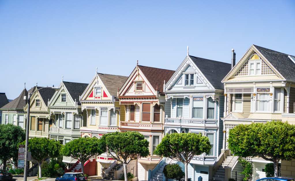 Painted Ladies