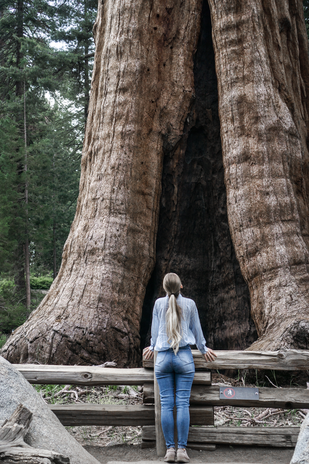 Sequoia National Park