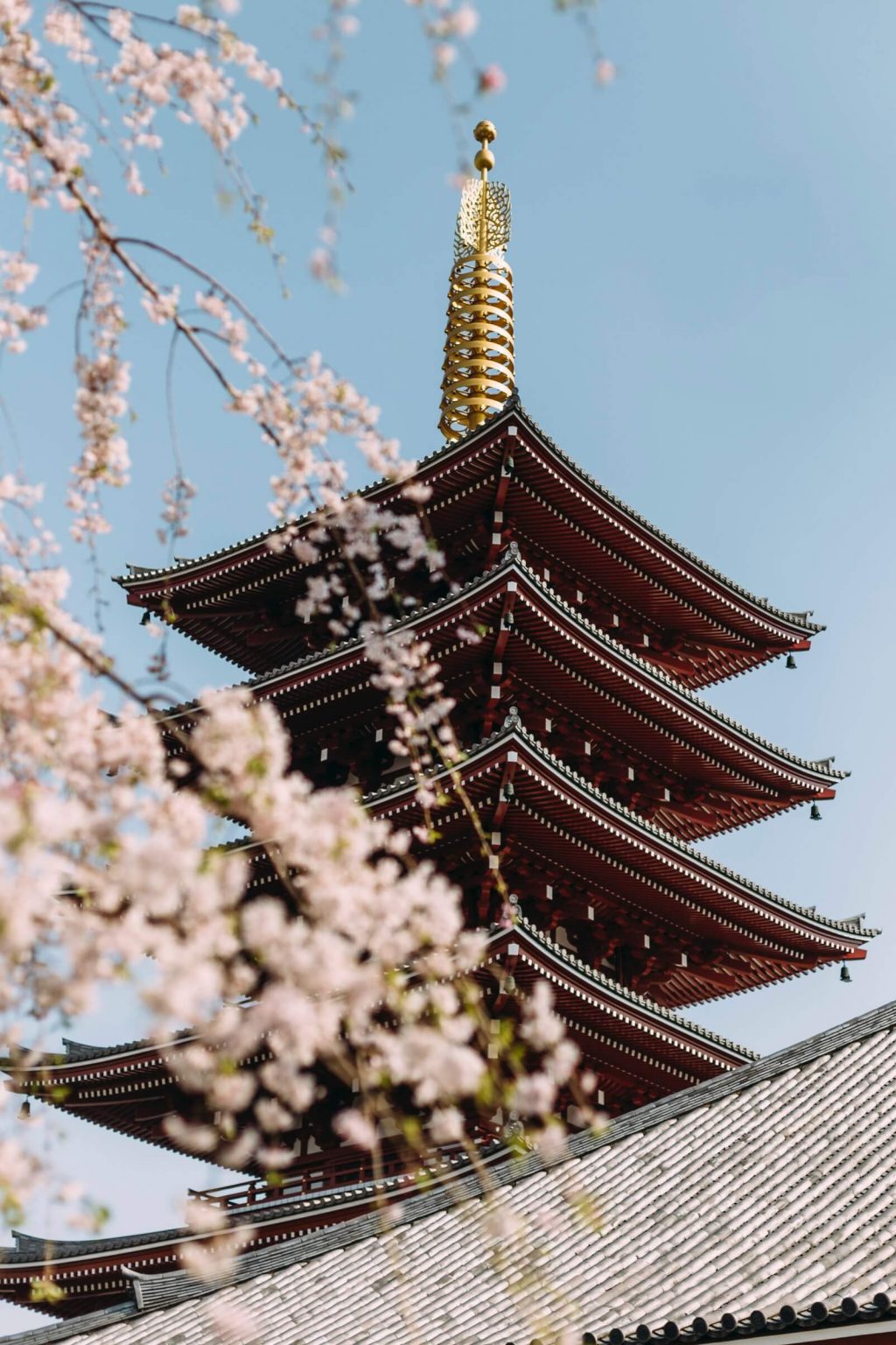 Travel Bucket List 2019 Japan
